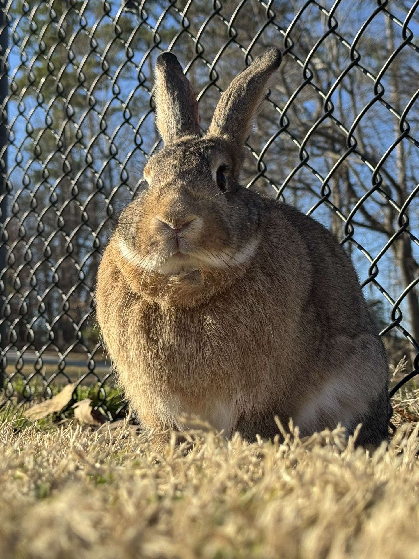 Easter Photos