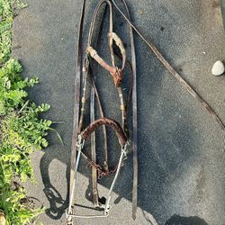 horse hackamore 
