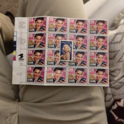 Framed Collector's Stamps