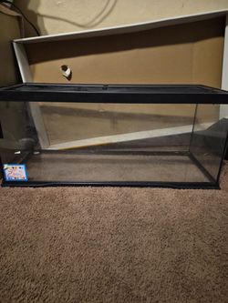 Reptile tank