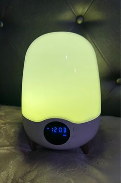 Wake-Up Light Alarm Clock with LED Lamp