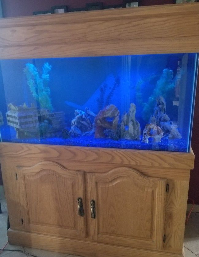 125 Gallon Custom Fish Tank- Real Oak