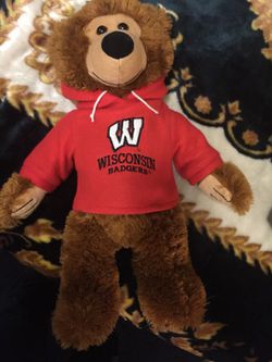 Wisconsin teddy bear
