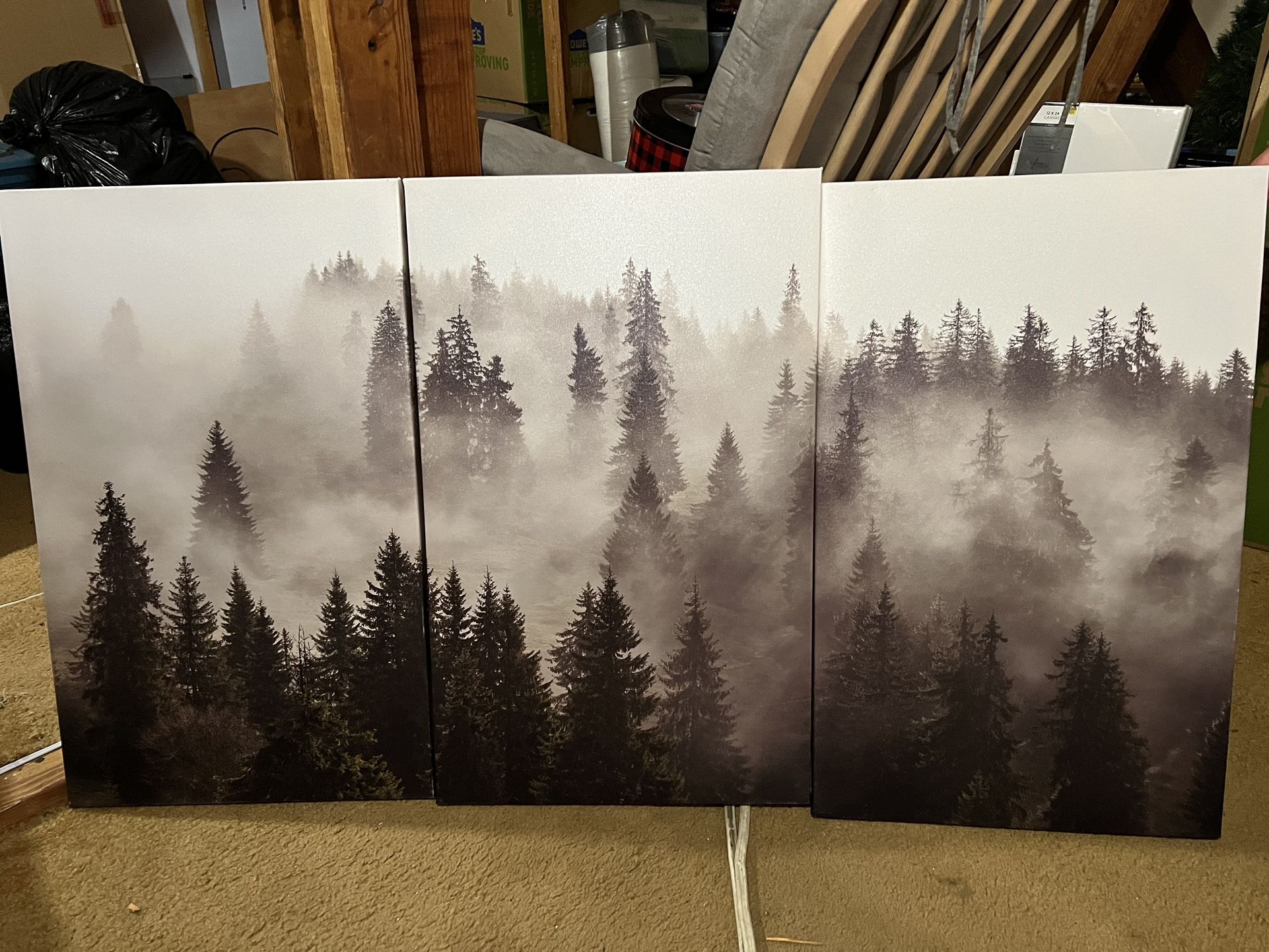 3 Piece Wall Art