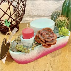 Real Succulent Planter With Candle 