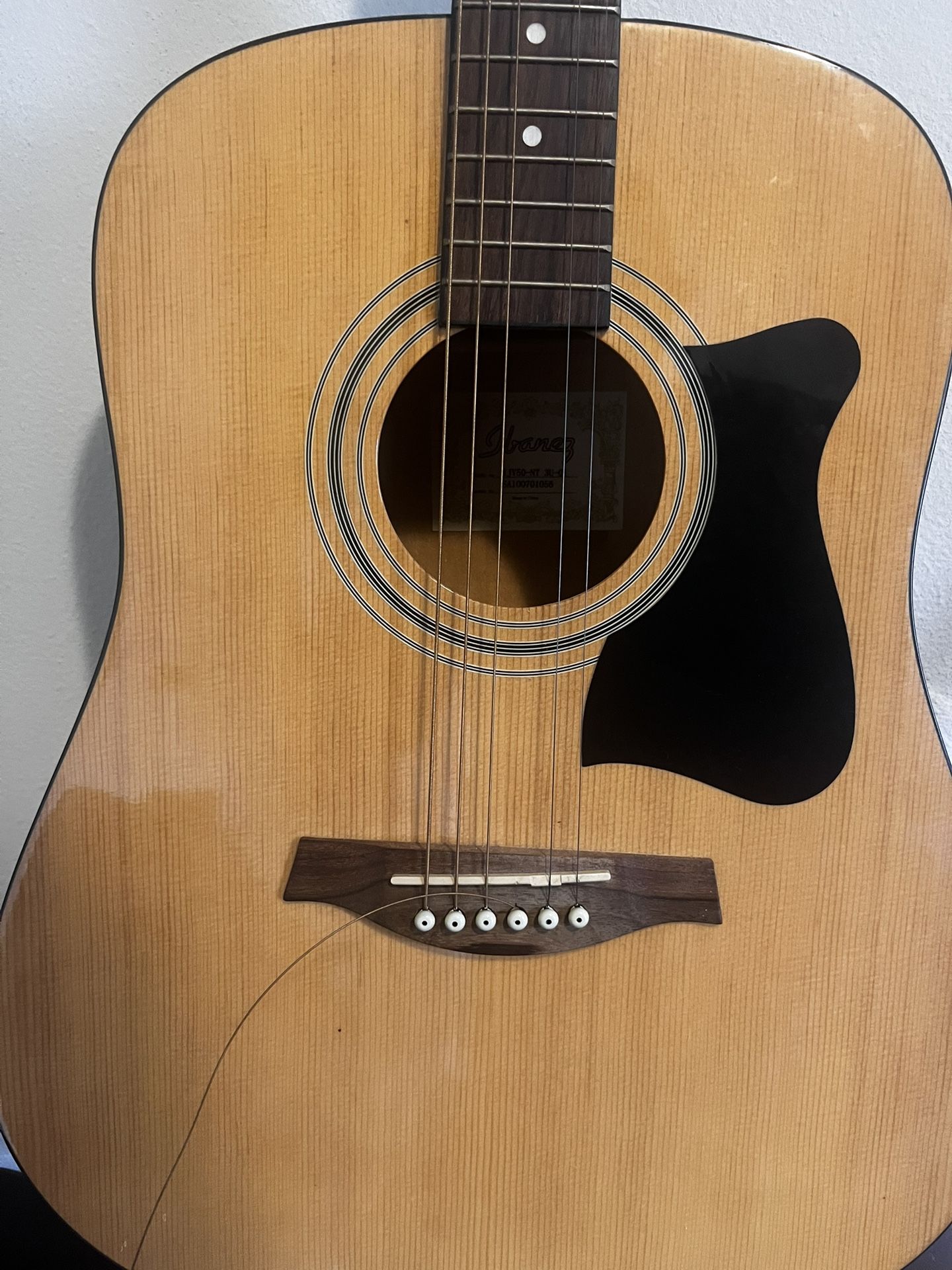 Acoustic Guitar Ibanez