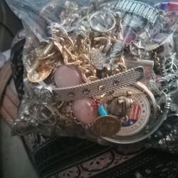 Jewelry Bag Asking $65