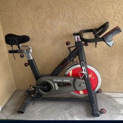 Sunny Exercise Bike