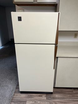 Medium size refrigerator