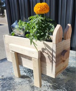 Novelty Pig Cedar Planter
