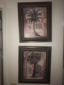 frames, cuadros de palma
