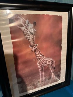 Framed Giraffes 🦒 Picture