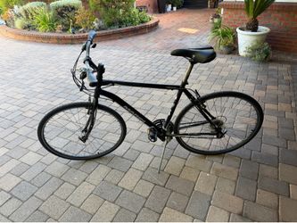 Marine Larkspur CS1 bycicle
