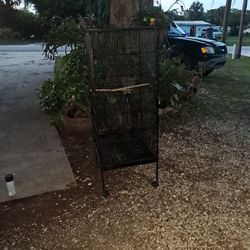 Bird Cage