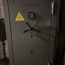 Gun Safe
