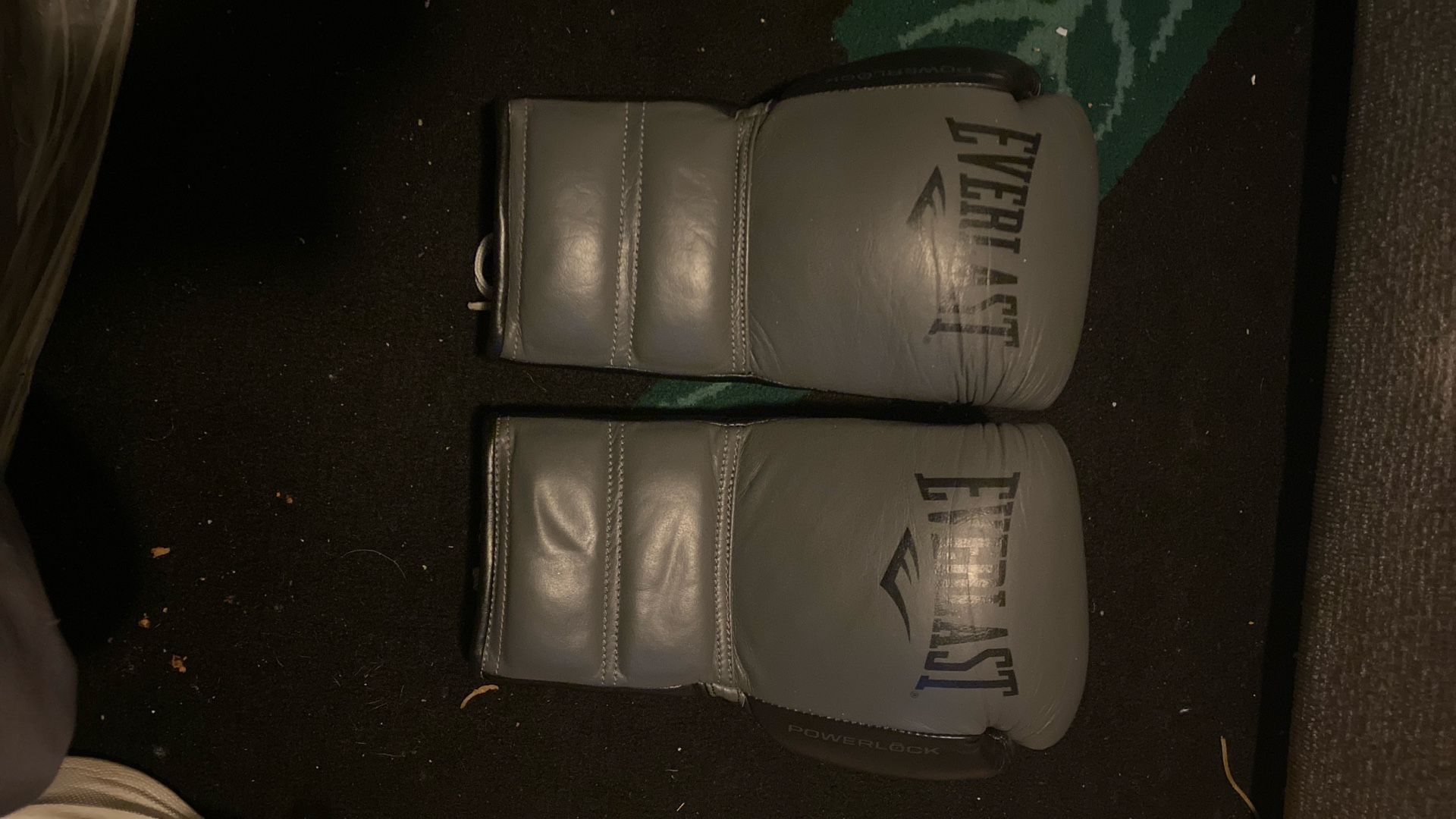 8 Oz Everlast Gloves 