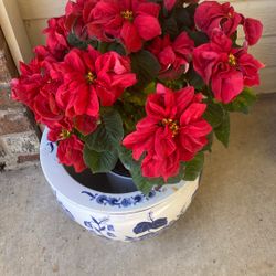 Christmas  Poinsettia 