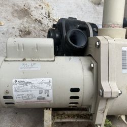3 Pool and spa pumps for sale!