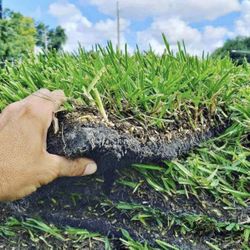 SOD, Fresh sod cut daily  