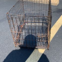 Midium Dog Kage 30$