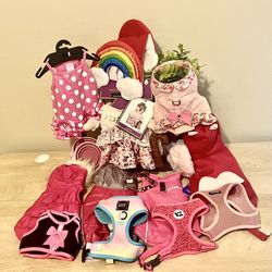 Dog Accessories Small