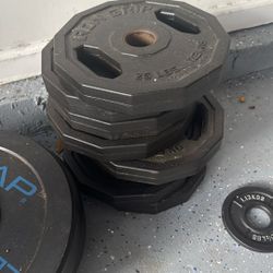 25 Lb Plates 