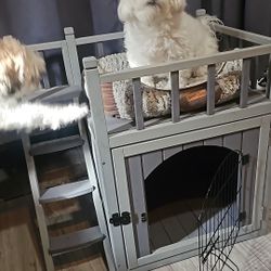 Dog House w/cage