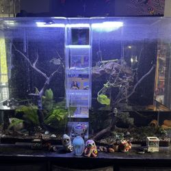 Clear For Life Double Tank With Connecting Tubes