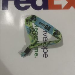 4 DAY GA LOLLA BAND 