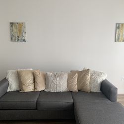 Couch with Sectional 