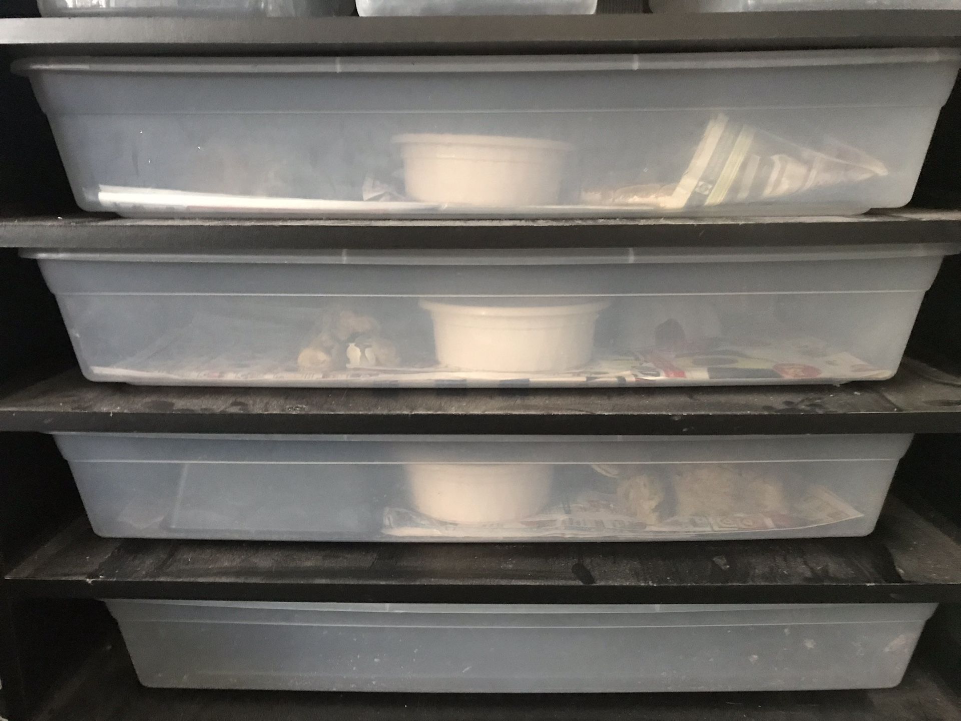 Snake rack / reptiles