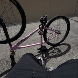 Fxd gear pink Chad 29er