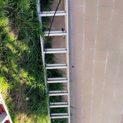 Werner 24 Ft Extension Ladder 