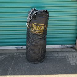 Everlast Punching Bag 20 Dollars Pick Up Only
