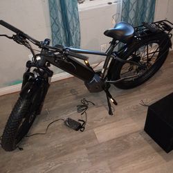 1000 w amp motor Eurorau rst fat tire new