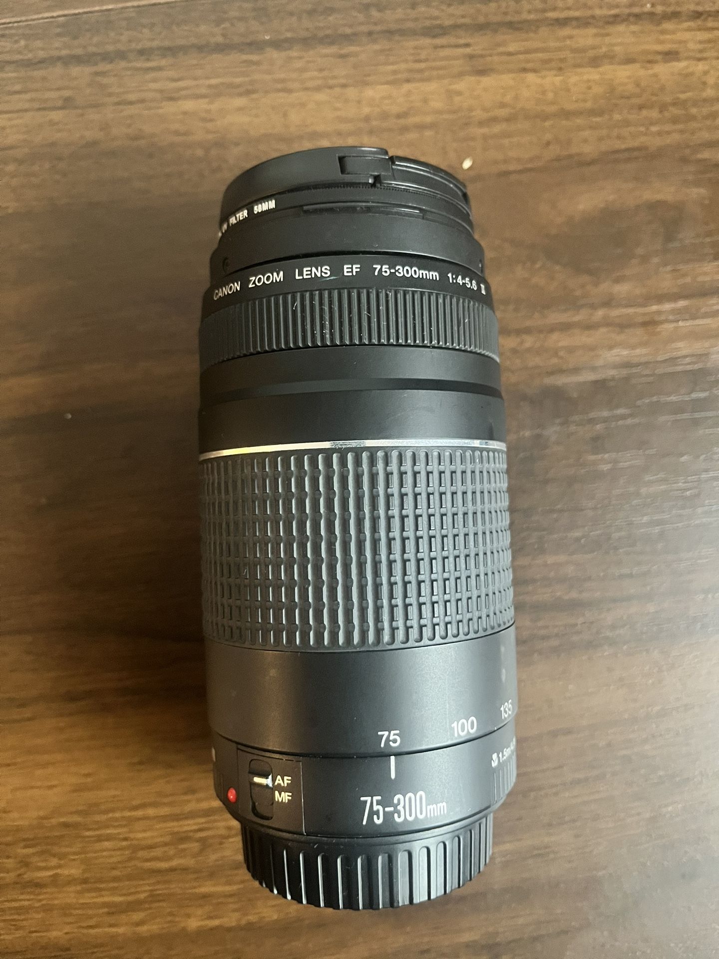 Canon EF 75-300mm zoom lens.