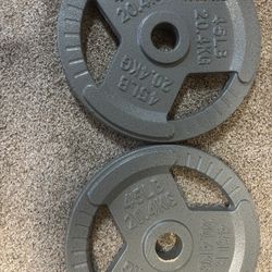 2-45lb. Cast Iron Olympic Plates 