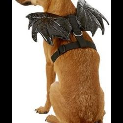 New Bat Wings Dog Harness Small