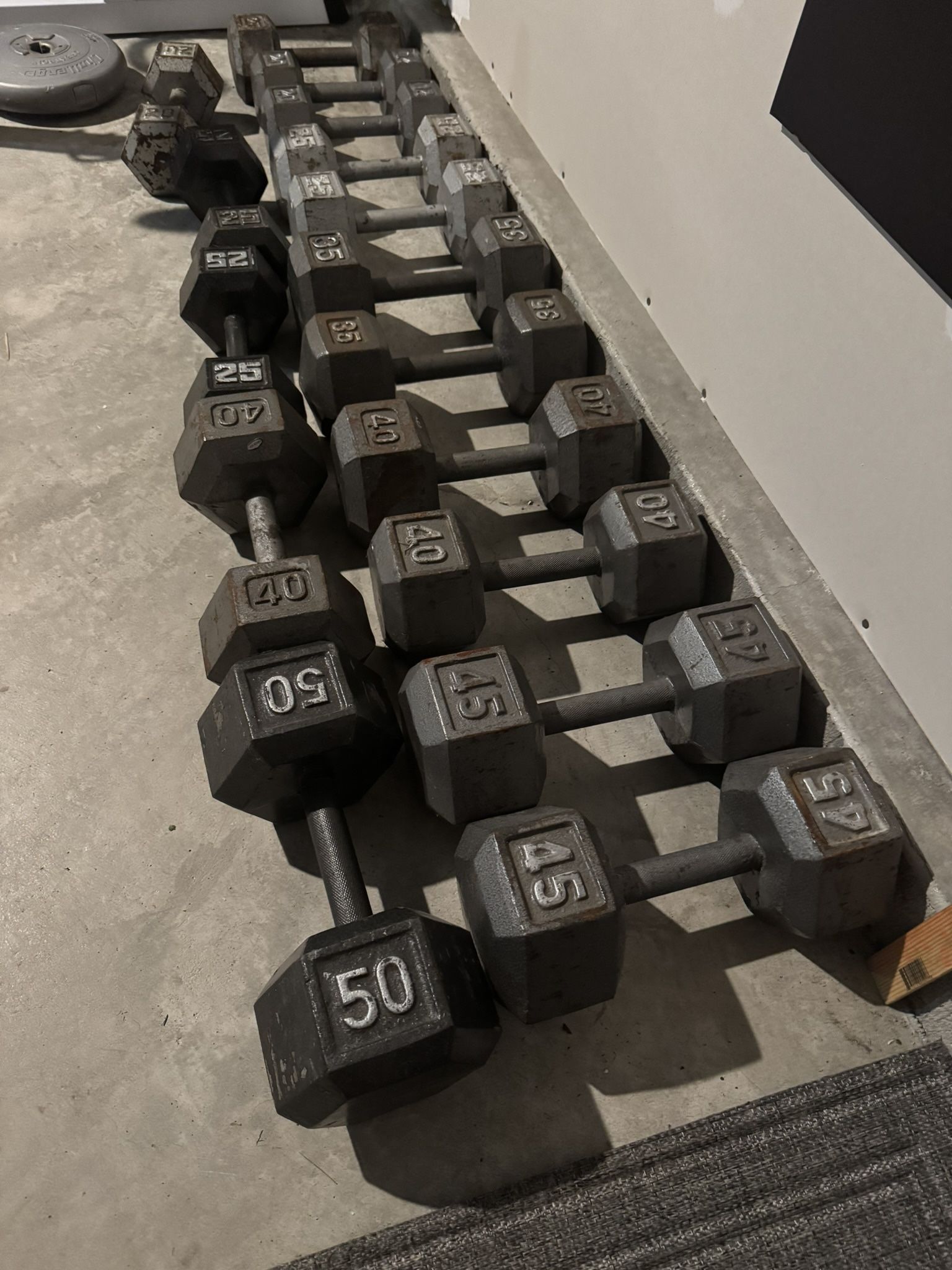 Dumbbell Weights