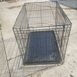  large dog Crate 