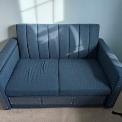 Loveseat Pull Out 