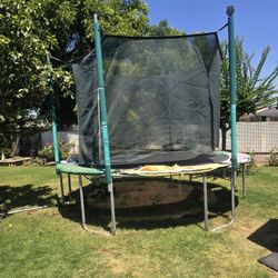 Trampoline Better Than Most
