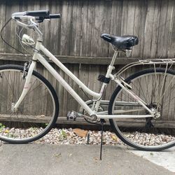 Schwinn Adult Bike