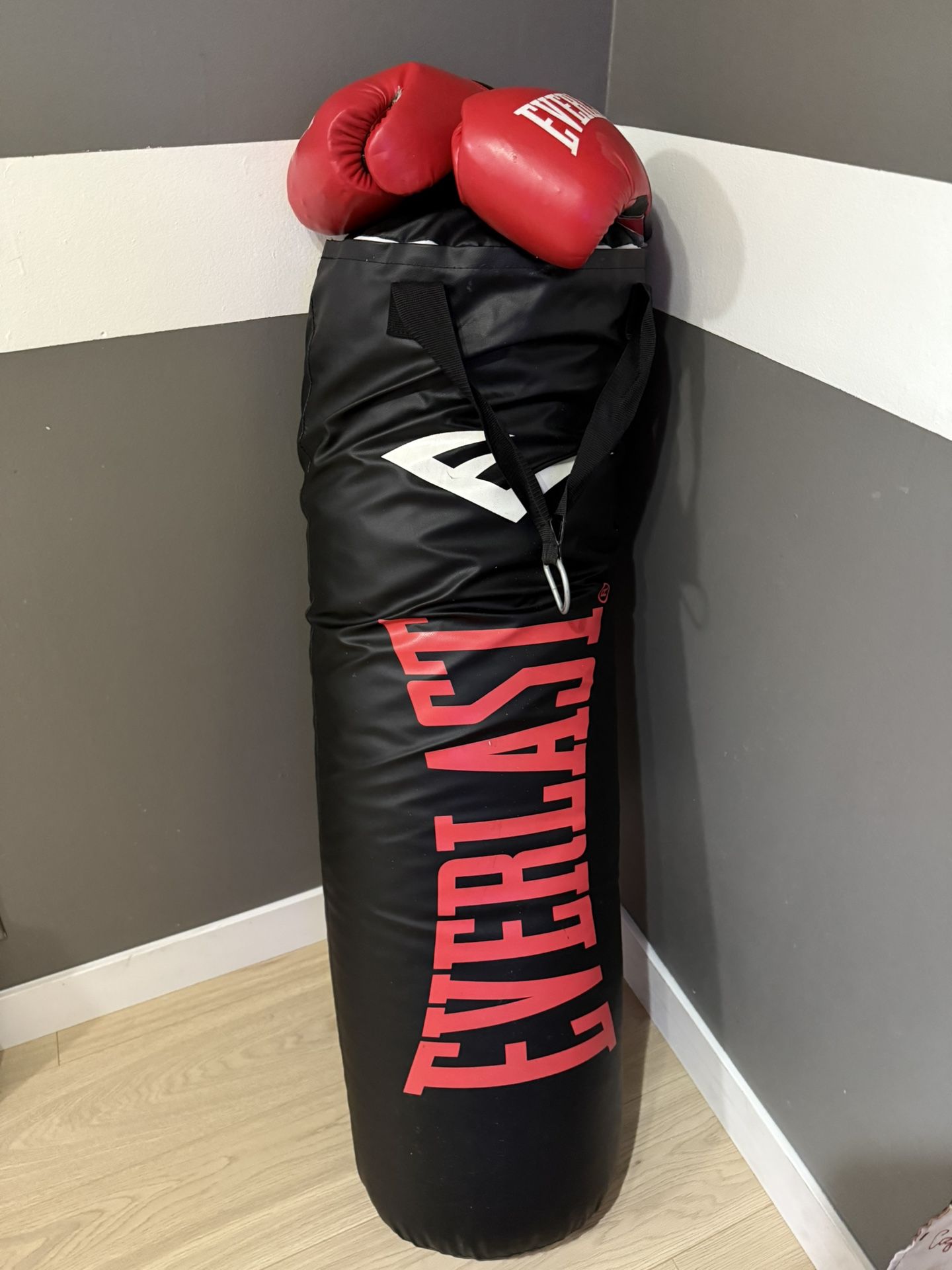 Boxing punching Bag 80 Pounds