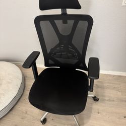 Ergonomic Office Chair