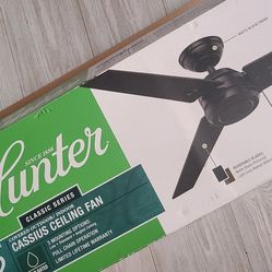 Hunter Indoor/outdoor Ceiling Fan