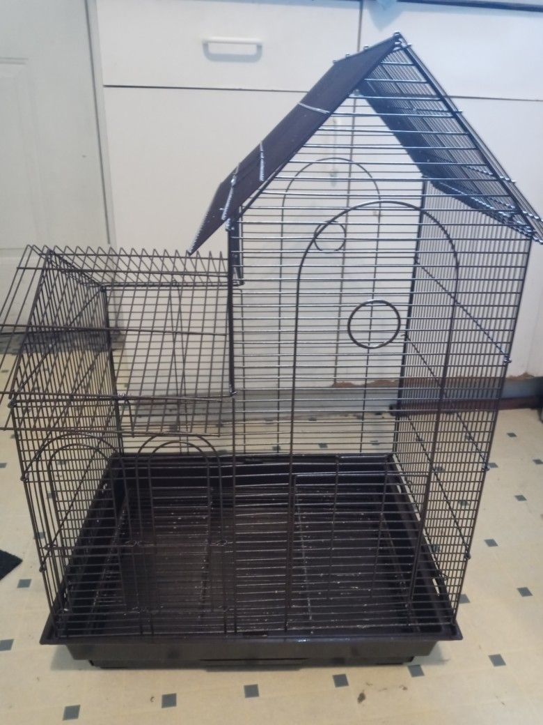 Bird Cage 