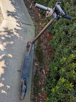 Electric scooter