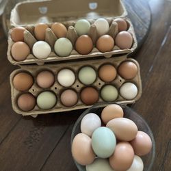 Fresh Eggs