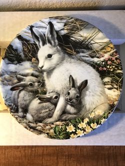Arctic Hare Family Plate by Mike Jackson